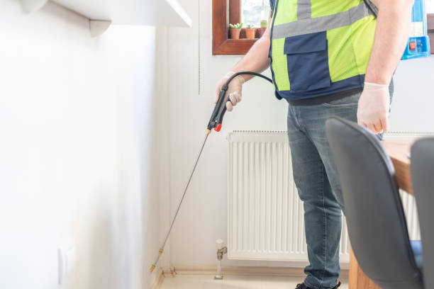 Best Termite Control Services  in Middleport, OH